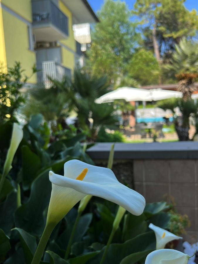 Hotel Ai Pini Градо Экстерьер фото